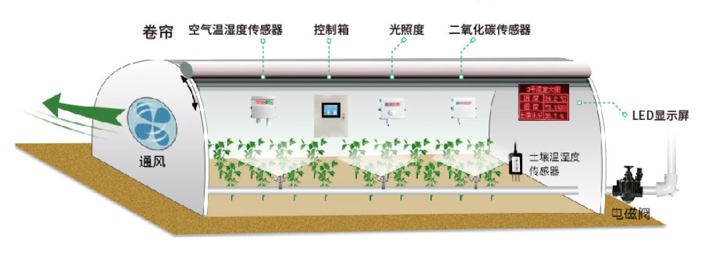 溫室大棚中安裝二氧化碳傳感器的情況