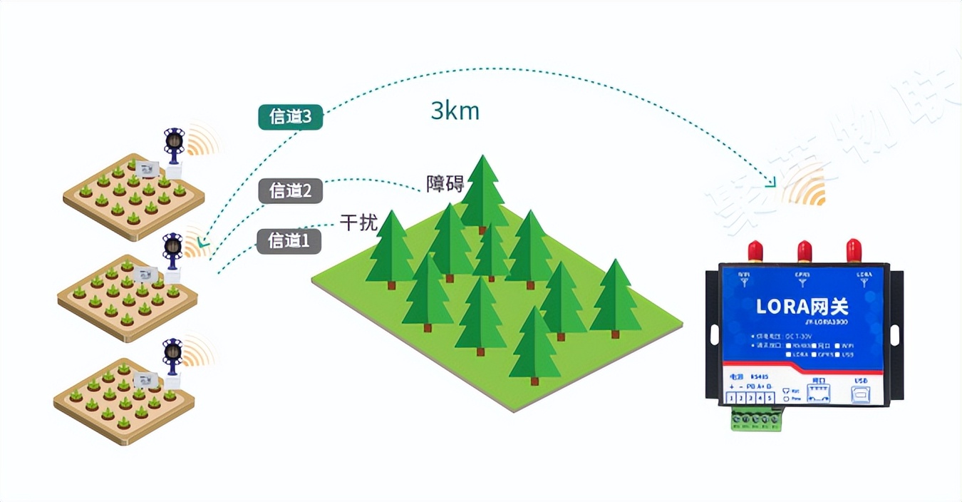 遠距離傳輸